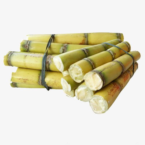 畅享高清免抠甘蔗素材 平面设计与电商创意的极佳之选
